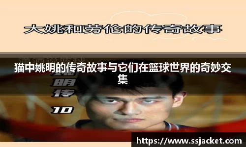 猫中姚明的传奇故事与它们在篮球世界的奇妙交集